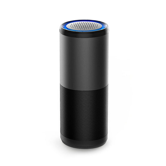 Portable Mini Air Purifier